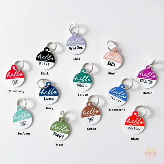 What to Put on a Pet ID Tag – Essential Info for Pet Owners