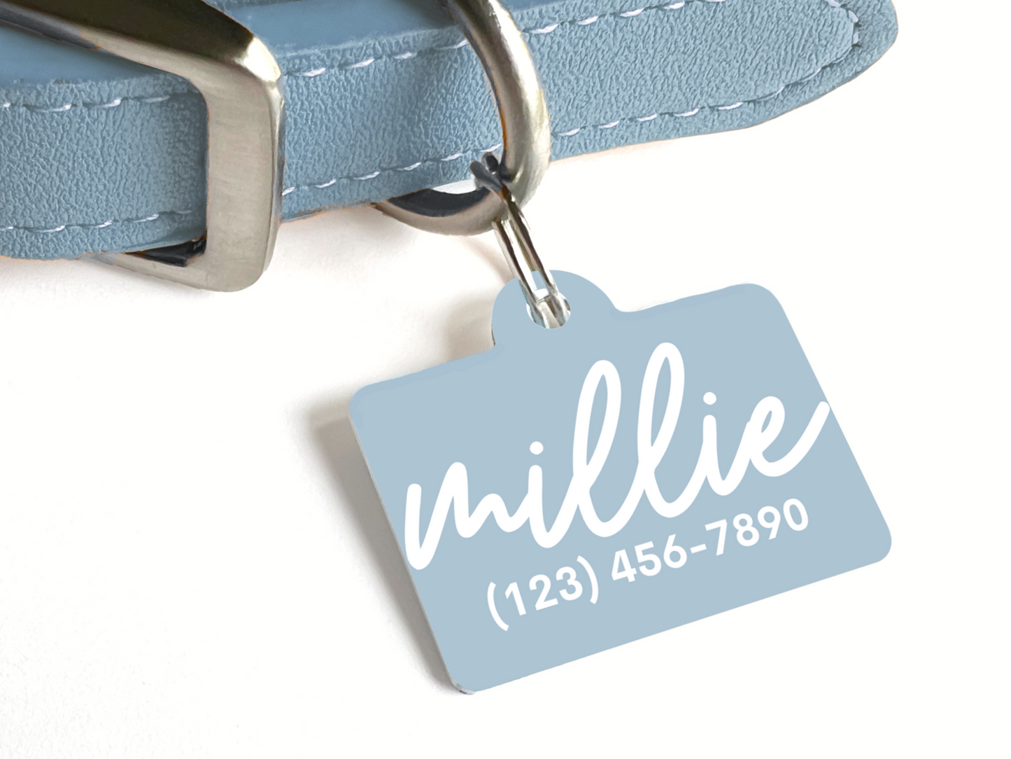Minimalist Script Pet ID Tag