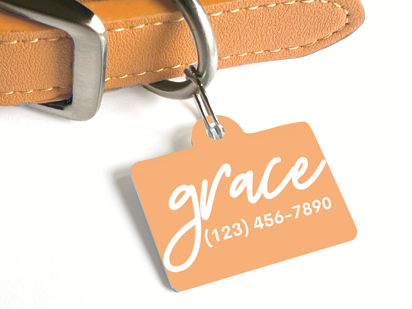 Minimalist Script Pet ID Tag