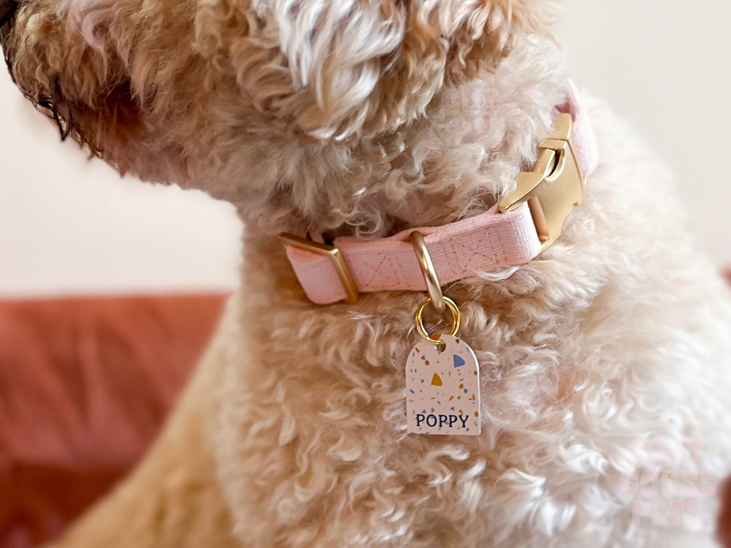 Arch Terrazzo Modern Pet ID Tag
