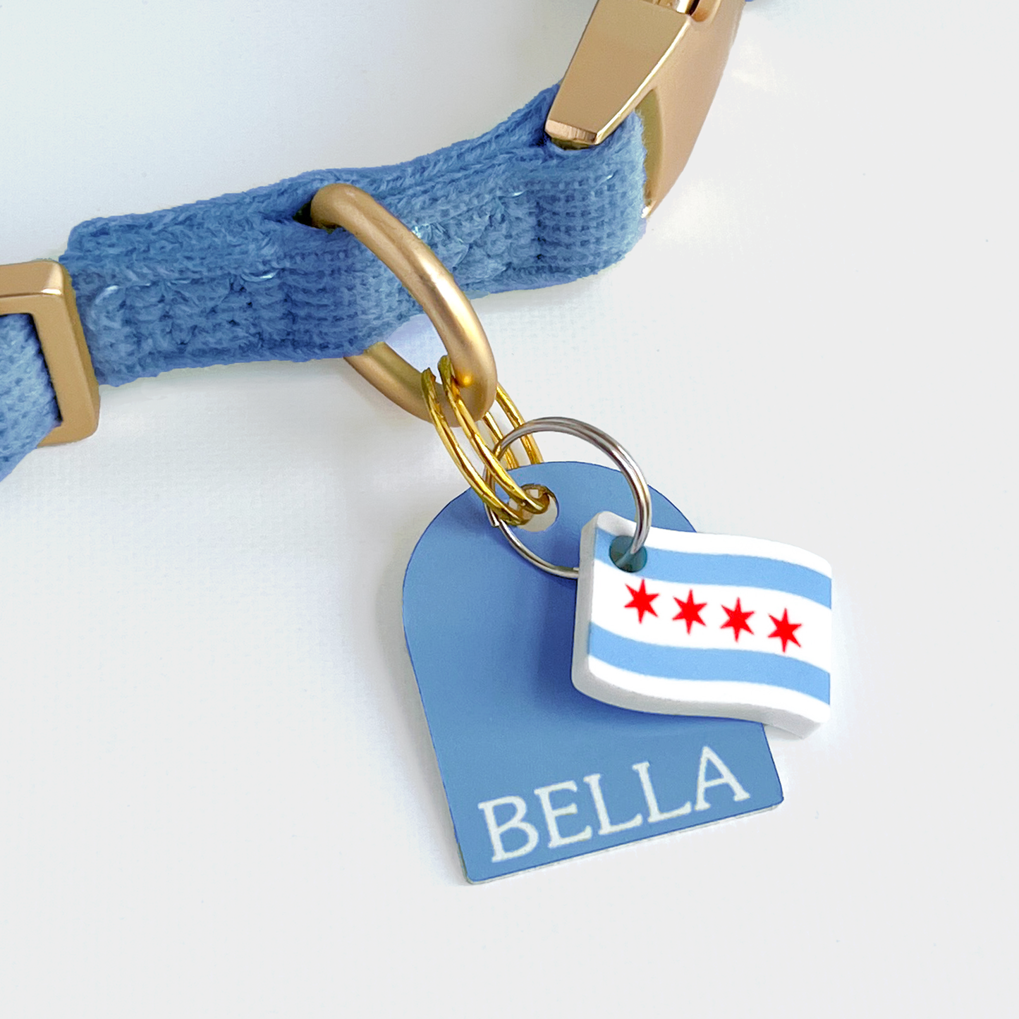 Chicago Pet Collar Charm Set