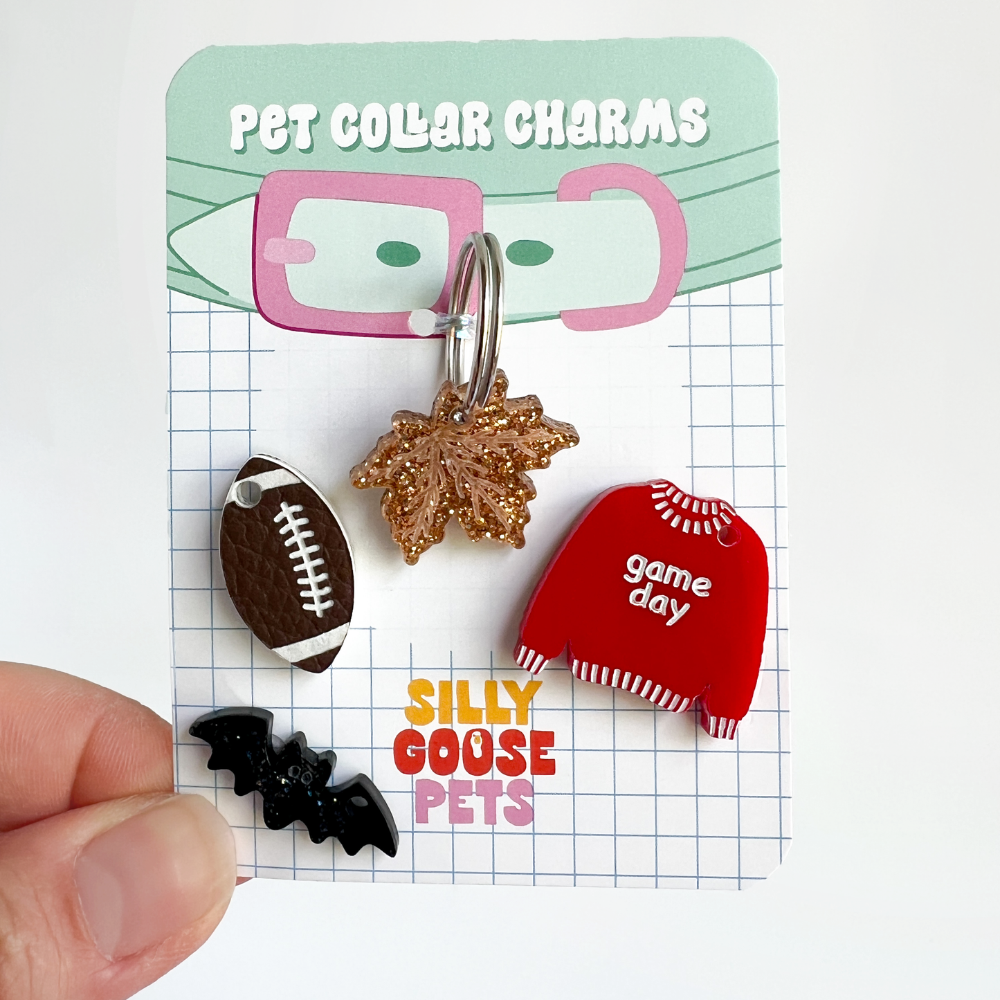 Fall Pet Collar Charm Set