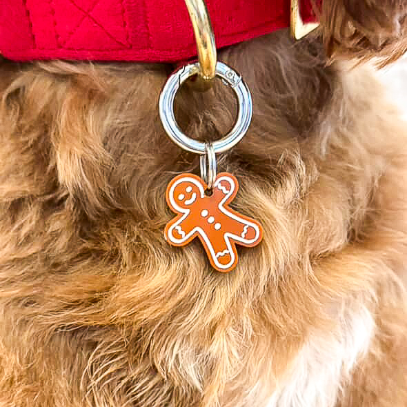 Christmas Pet Collar Charm Set – Holiday Collection