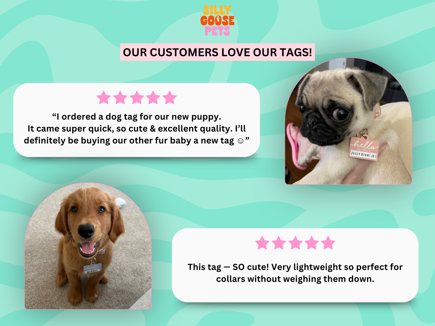 Boho Arch Pet Tag