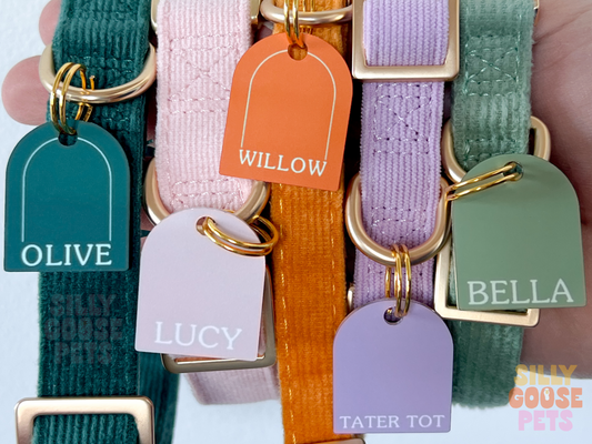 Unique Boho Arch Shape Pet ID Tag Aesthetic