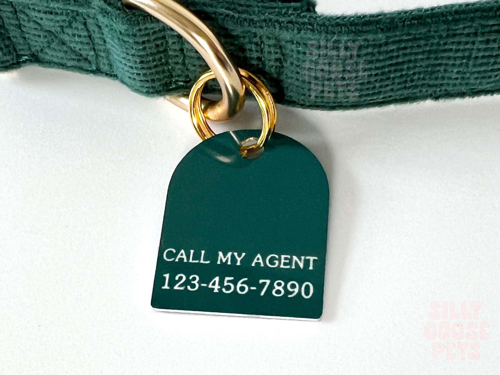 Modern Unique Arch Shape Pet ID Tag for Dogs and Cats