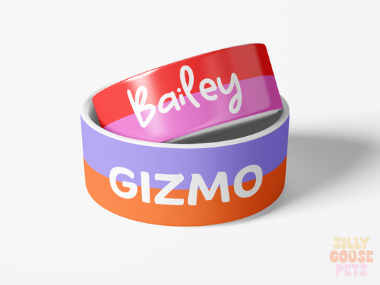 Personalized Ceramic Color Block Aesthetic Pet Bowl Custom Name and Color