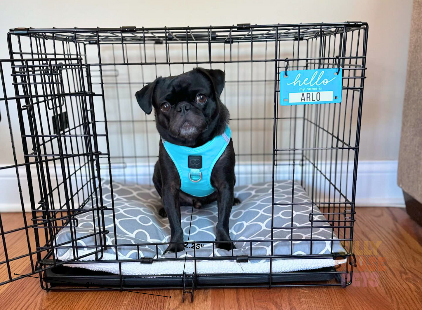 Personalized Dog Crate Name Tag