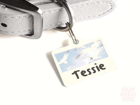 Late 80s Era Pet Tag