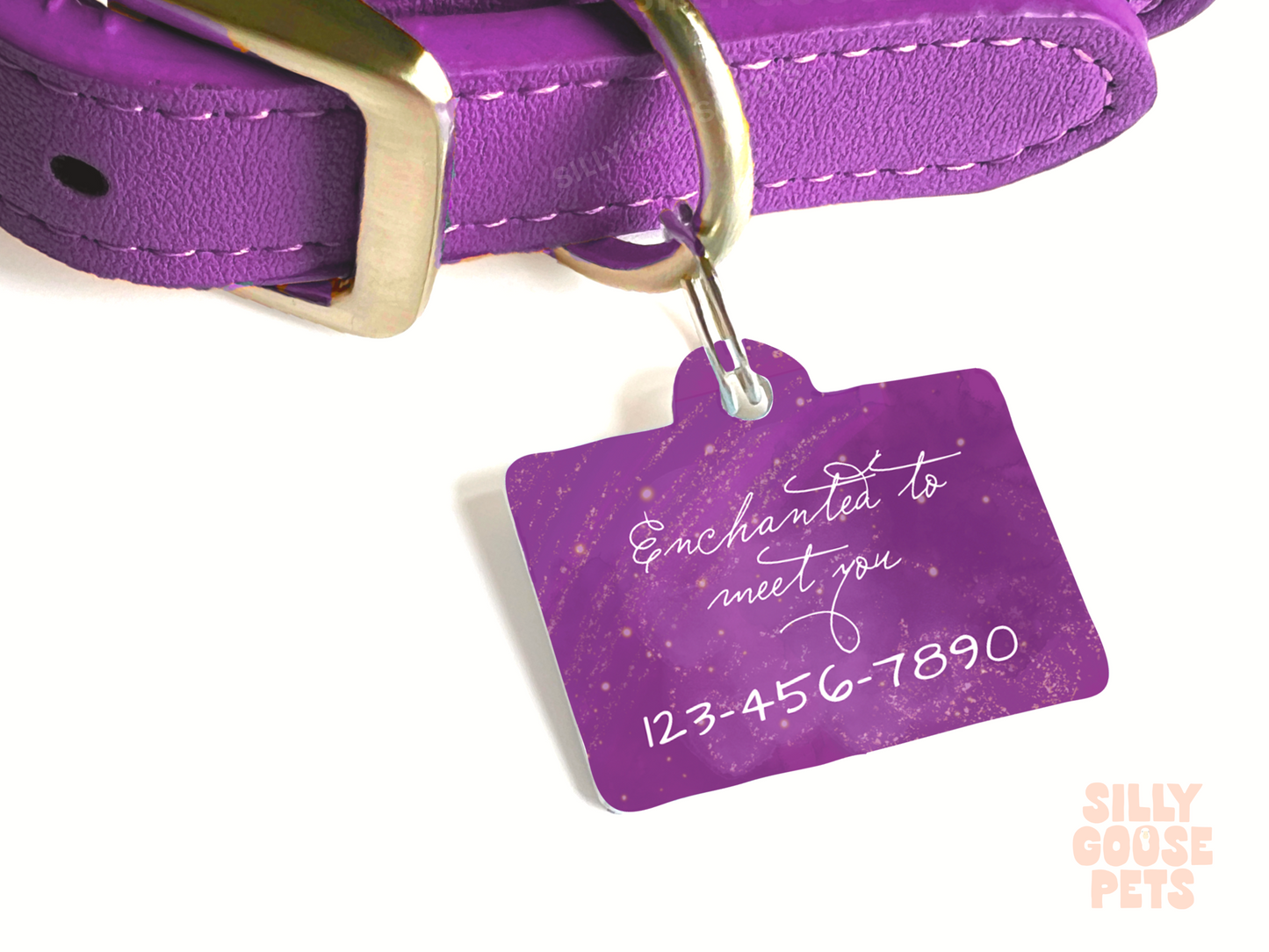 Speechless Era Pet Tag