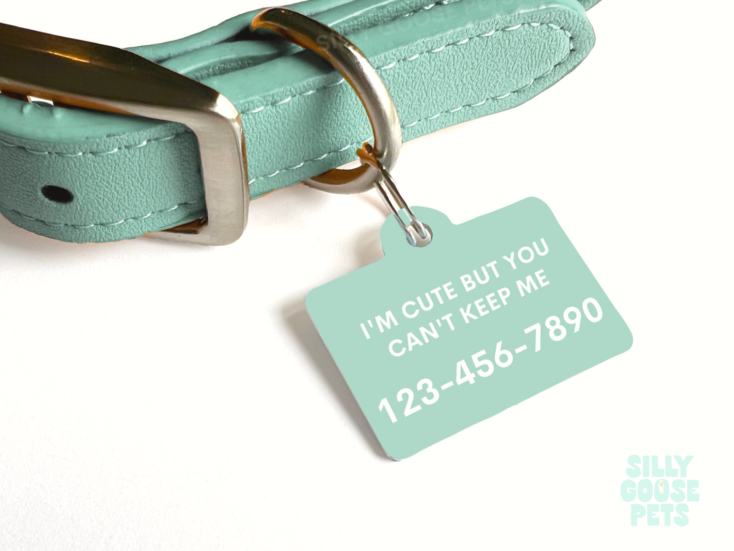 Donuts Pet Tag
