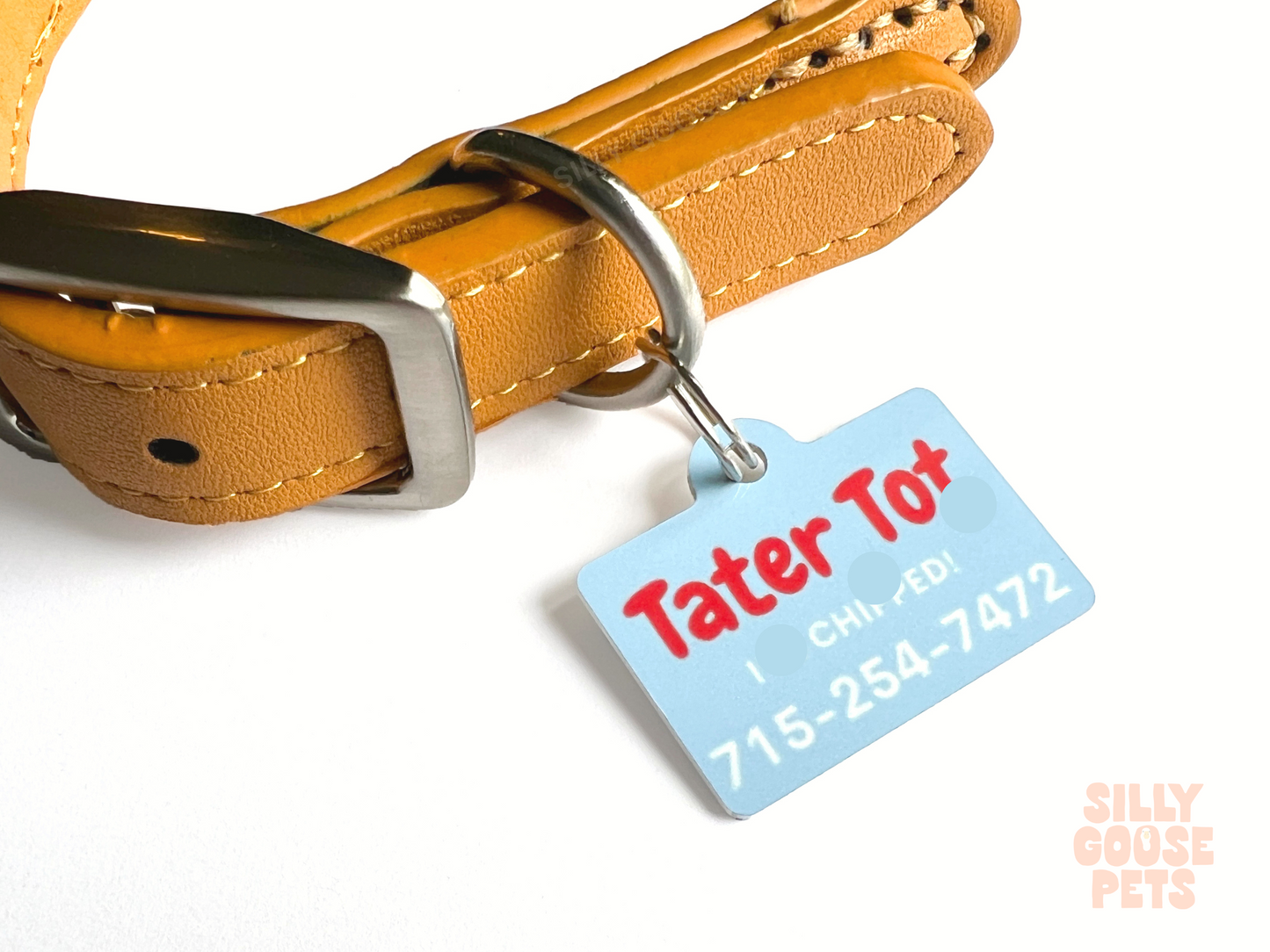 Chicago Flag Pet Tag