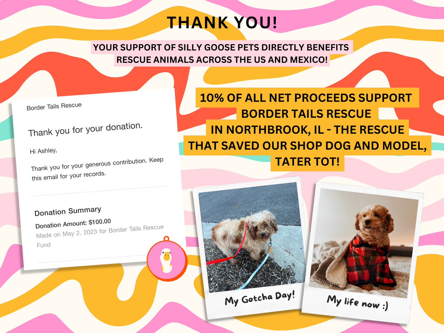 Donuts Custom Pet Tag