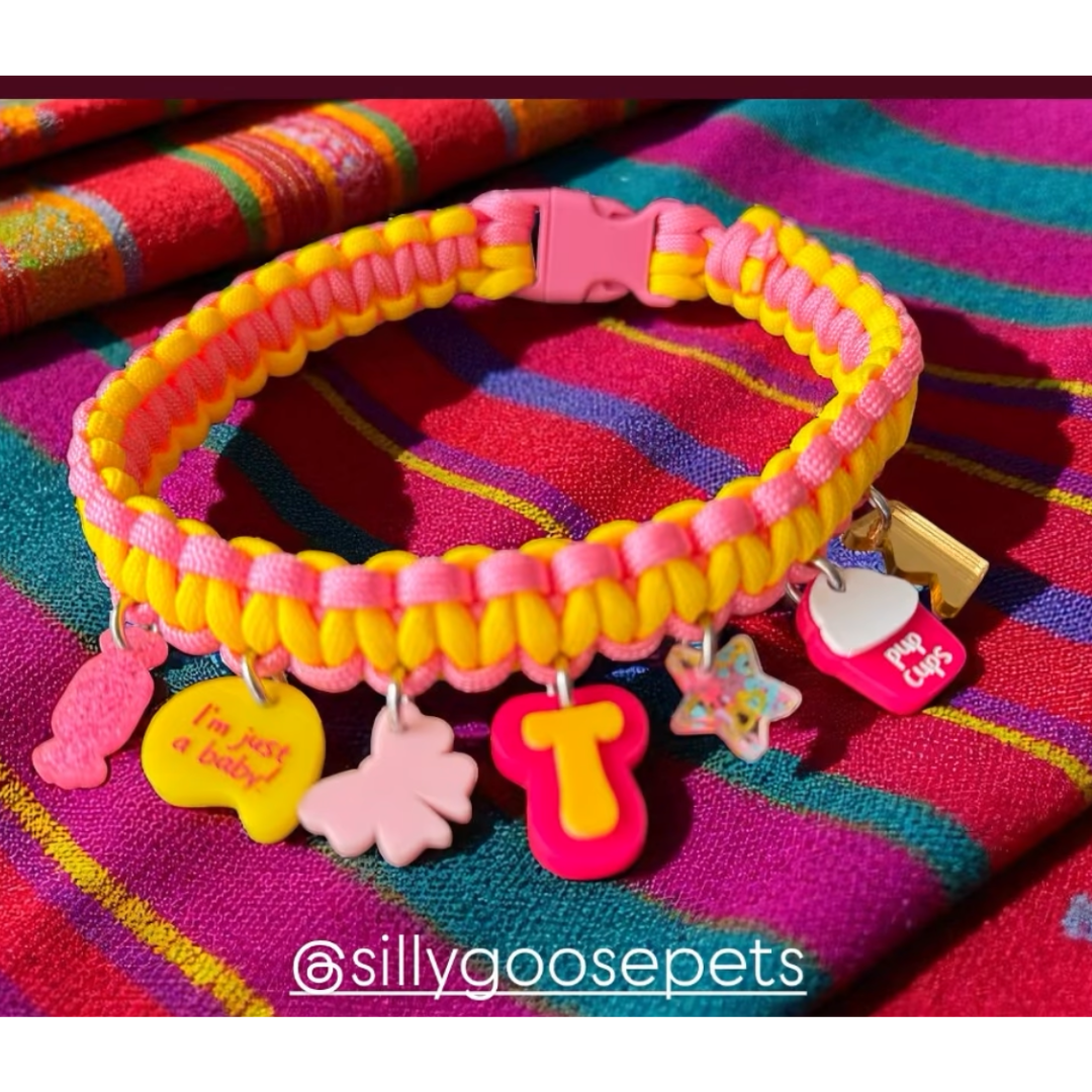 Custom Charm Collar