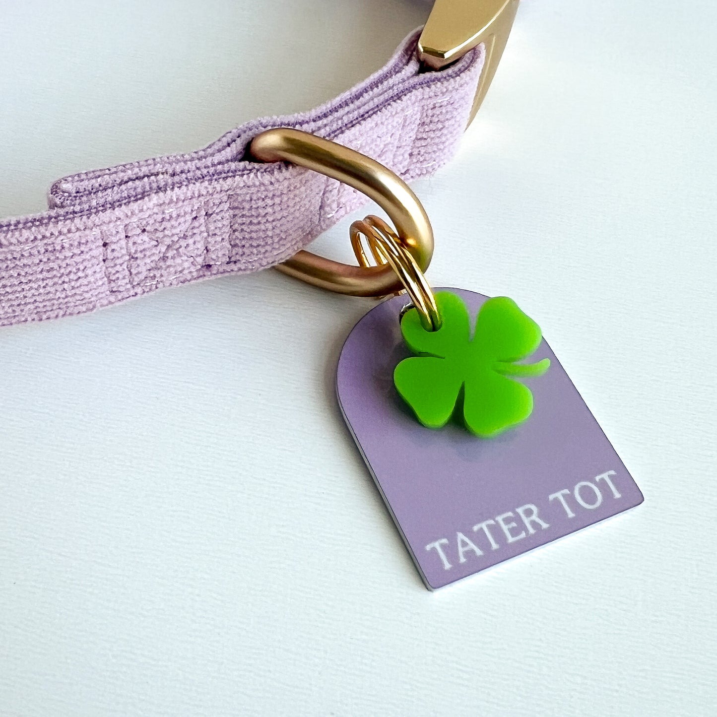 Spring Pet Collar Charm Set