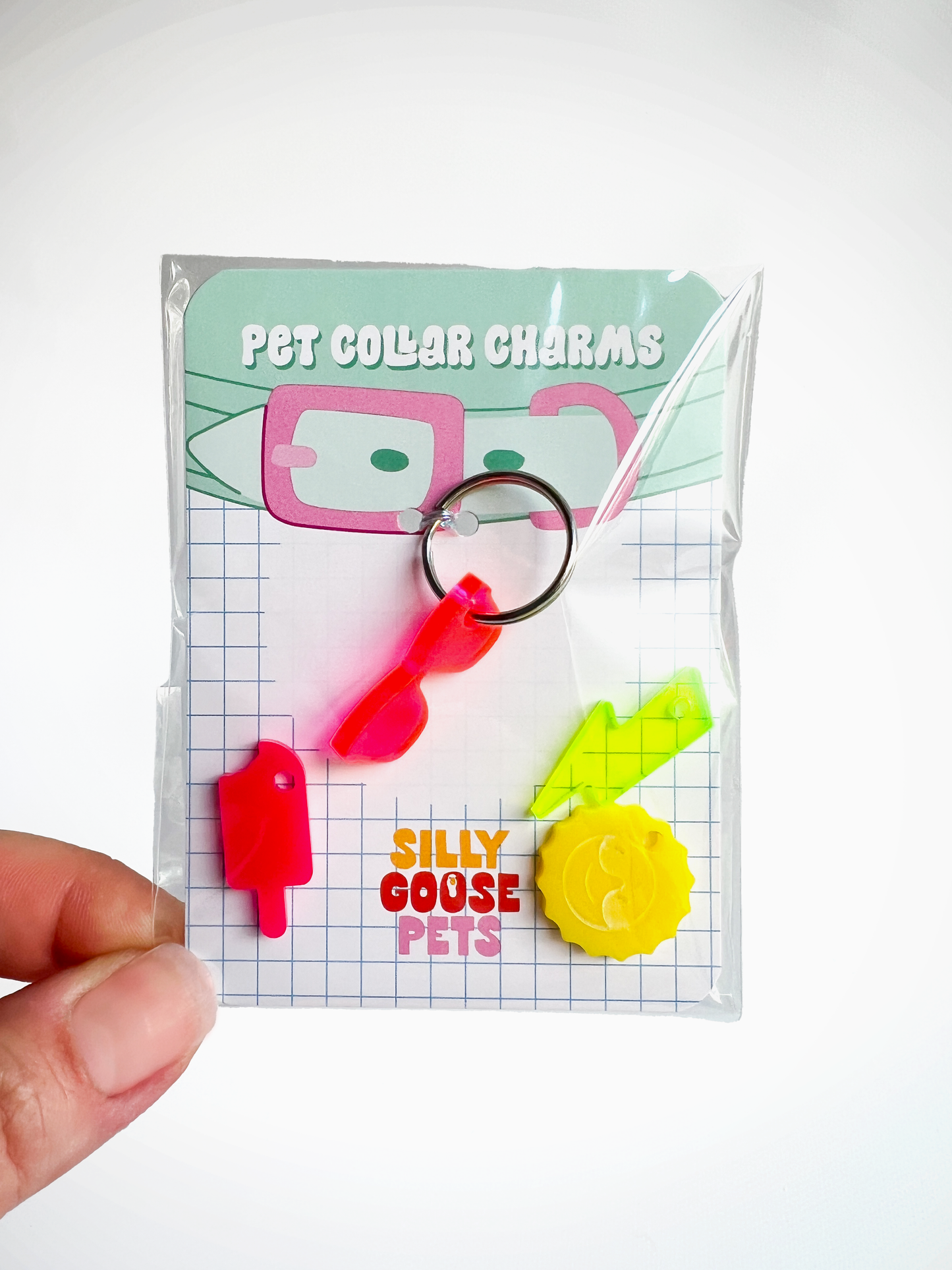Summer Pet Collar Charm Set