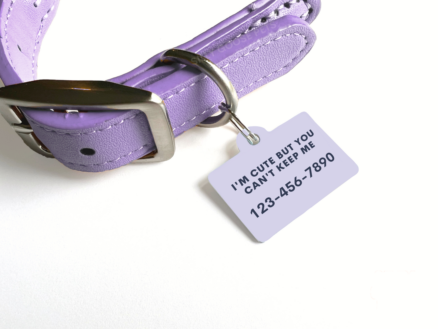 UFO Pet Tag