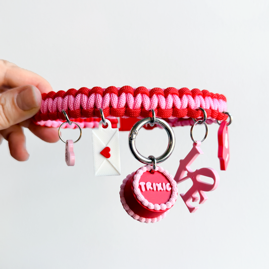 Valentine's Day Pet Charm Collar