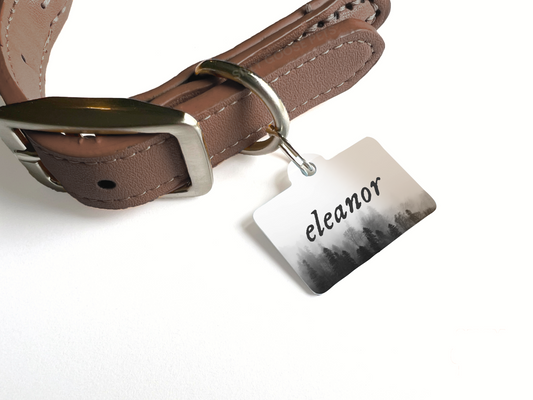 Folksy Era Pet Tag