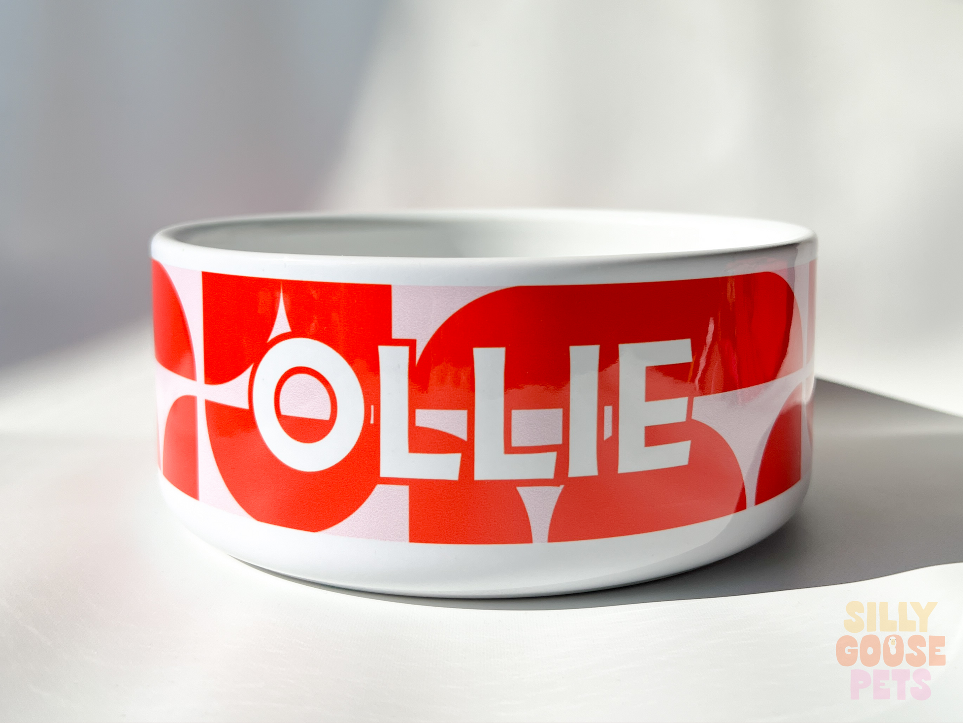 Personalized Pet Bowl Custom Name Modern Design