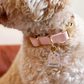 Arch Terrazzo Modern Pet ID Tag