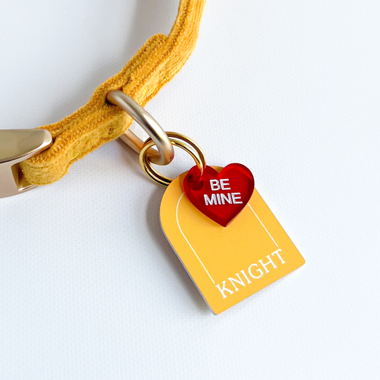 Be Mine Collar Charm