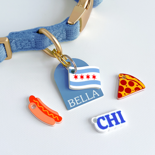 Chicago Pet Collar Charm Set