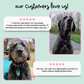 Lighthouse Silicone Engraved Pet ID Tag