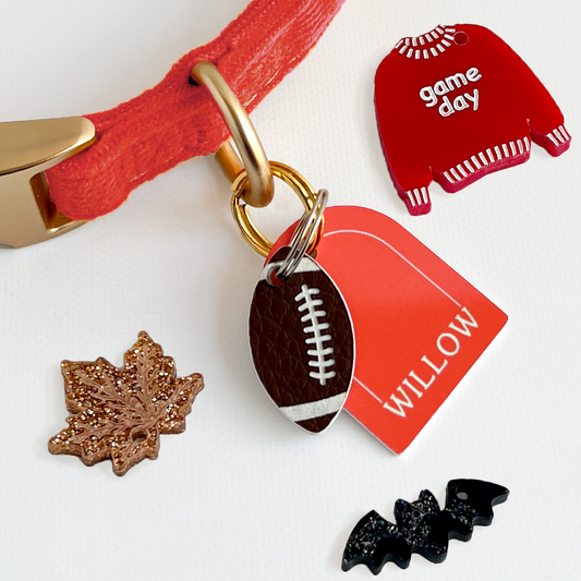 Fall Pet Collar Charm Set