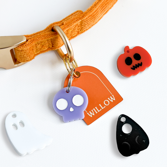 Halloween Pet Collar Charm Set