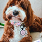 Birthday & Gotcha Day Charm Necklace