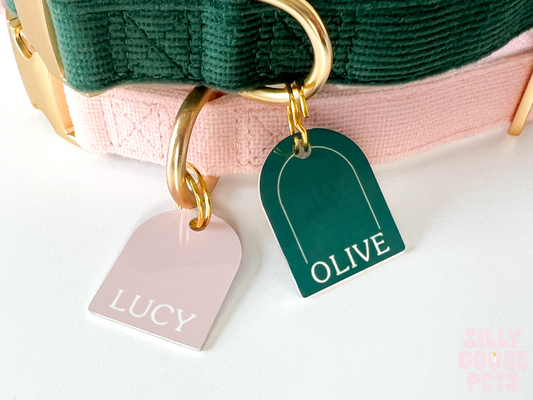 Unique Modern Pet ID Tag for Dogs Arch Shape Custom Color