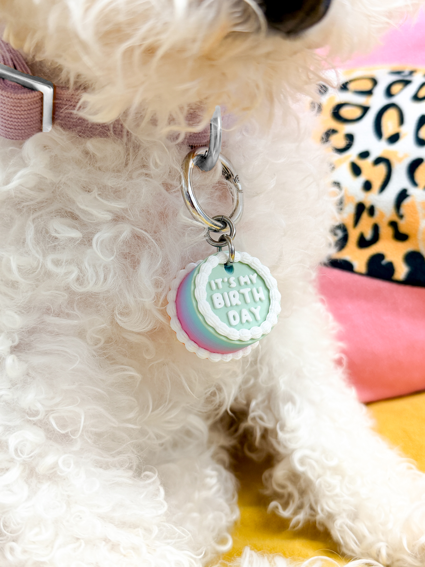 Vintage Birthday Cake Pet Tag – “It’s My Birthday”