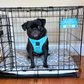 Personalized Dog Crate Name Tag