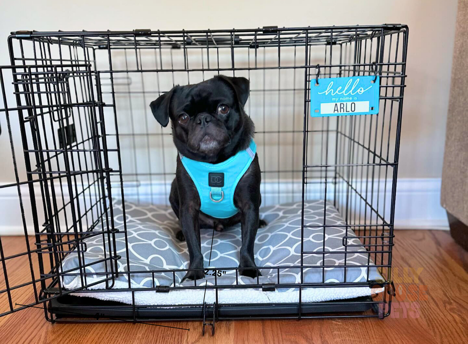 Personalized Dog Crate Name Tag