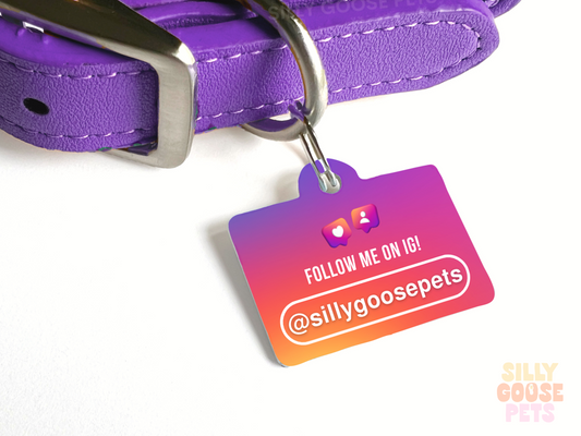 Influencer Pet ID Tag QR Code