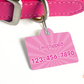 Pet Id Tag Cute Fashion Doll Dog Collar Tag