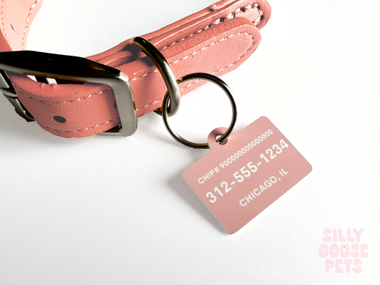 Hello My Name is Pet Tag