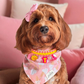 Custom Charm Collar