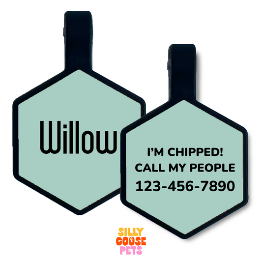 Simple Name Silicone Engraved Pet ID Tag