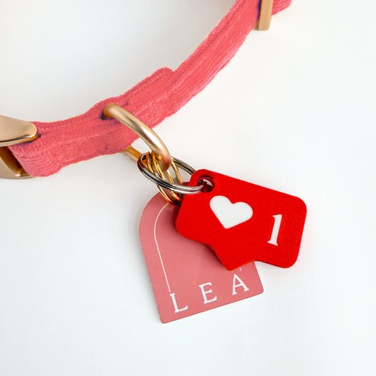 Social Media "Like" Pet Collar Charm