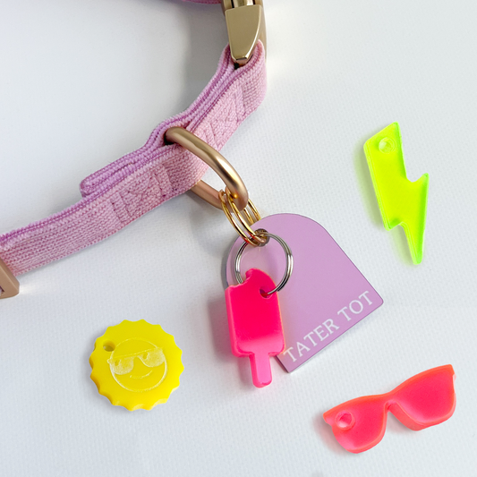 Summer Pet Collar Charm Set