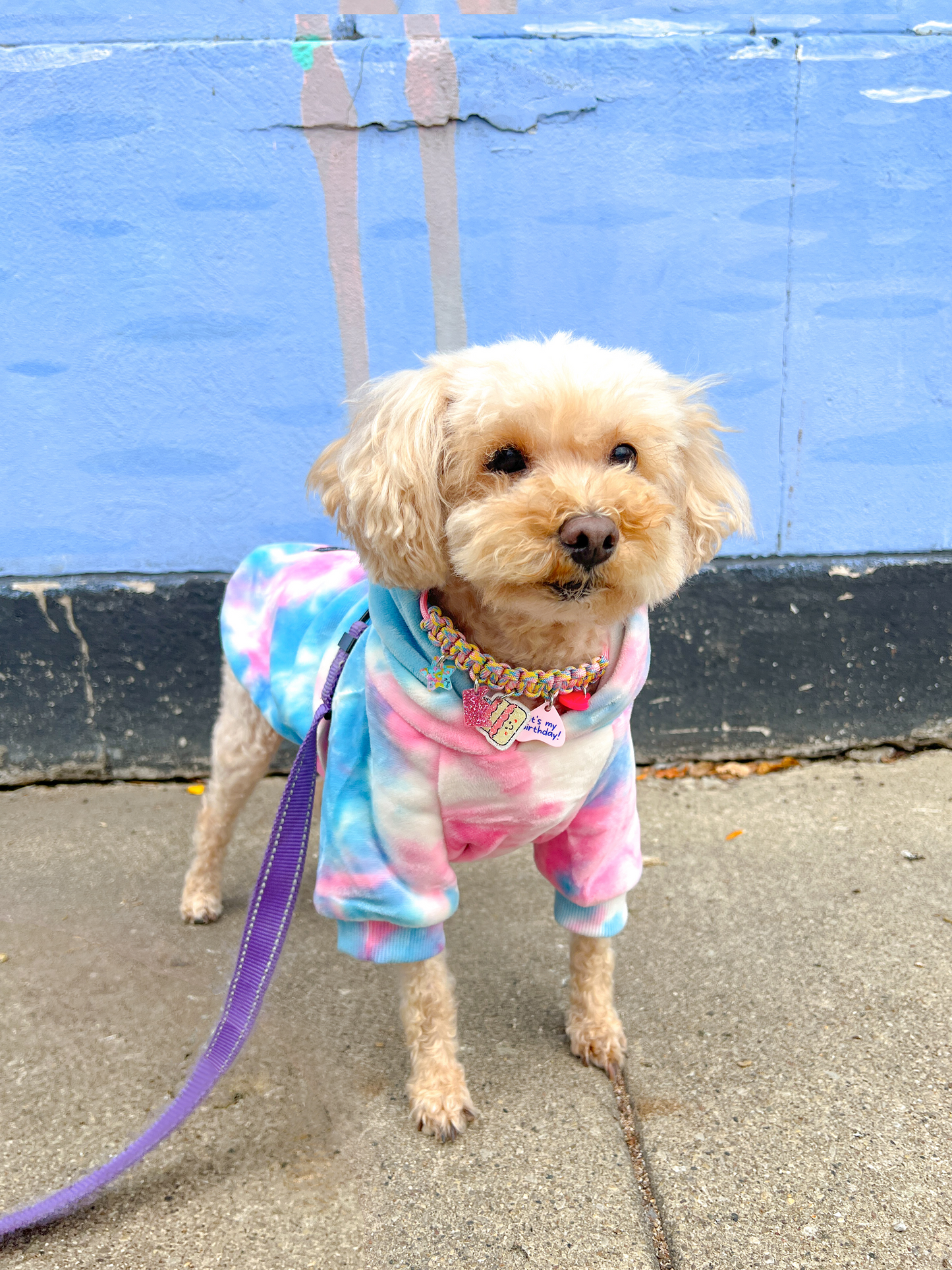 Birthday & Gotcha Day Charm Necklace