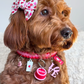 Valentine's Day Pet Charm Collar