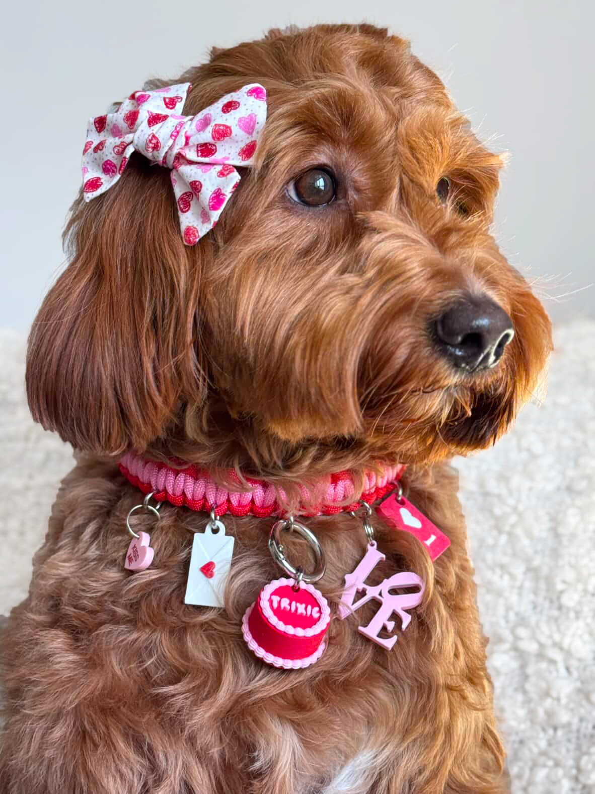 Valentine's Day Pet Charm Collar
