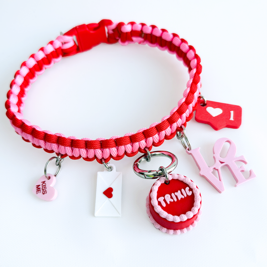 Valentine's Day Pet Charm Necklace