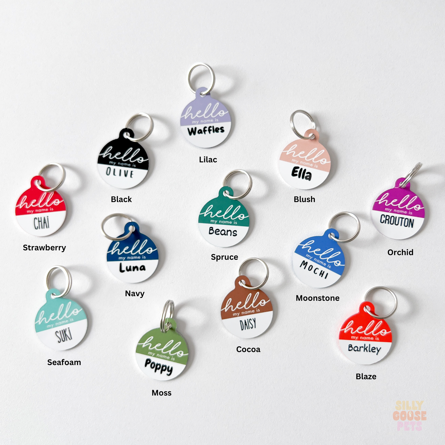 Round Wild Ones Hello Pet Tag