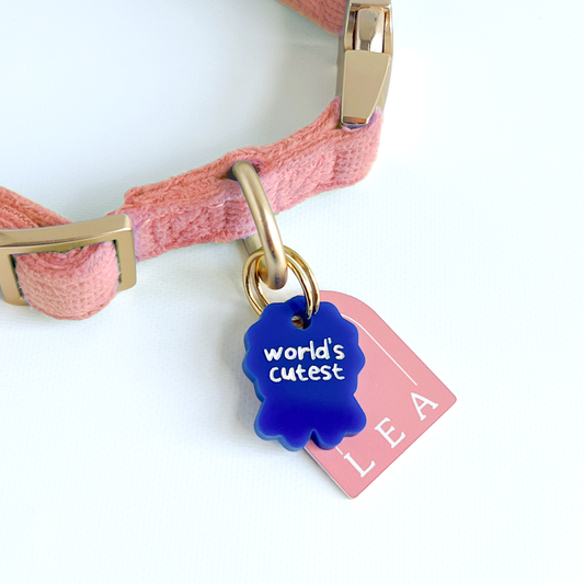 World’s Cutest Single Charm