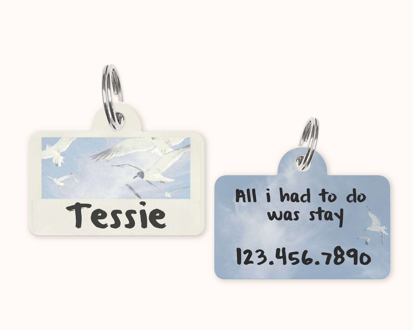 Late 80s Era Pet Tag