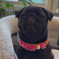 Custom Name Charm Collar